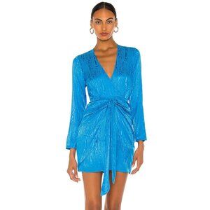 Gorgeous Ronny kobo dress